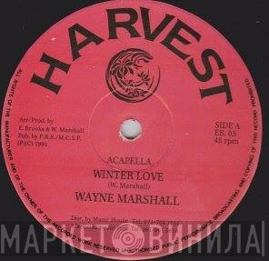 Wayne Marshall  - Winter Love