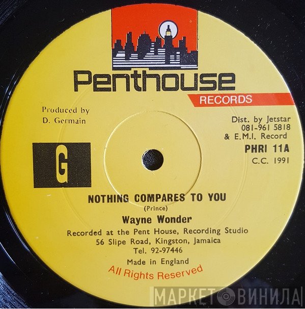 Wayne Wonder - Nothing Compares To You