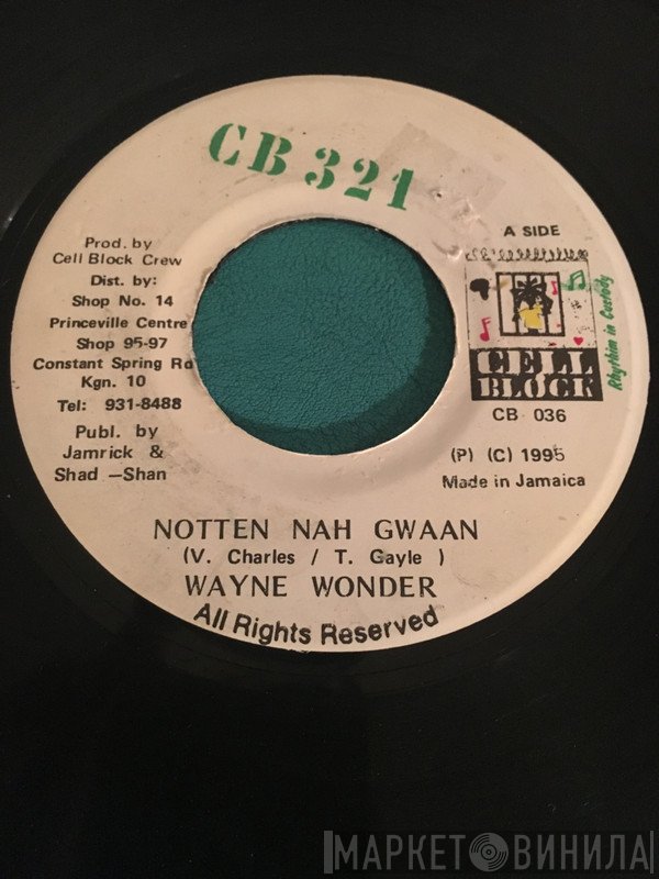 Wayne Wonder - Notten Nah Gwaan
