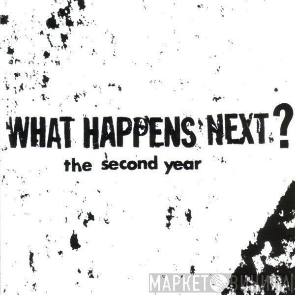 What Happens Next? - The Second Year