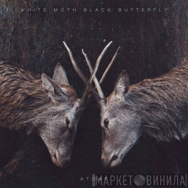 White Moth Black Butterfly - Atone