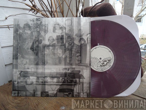  - Whitehaus Family Record Family Record Vol. 2: Are You In Paradise?