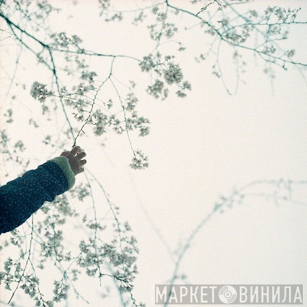 Wil Bolton  - Bokeh