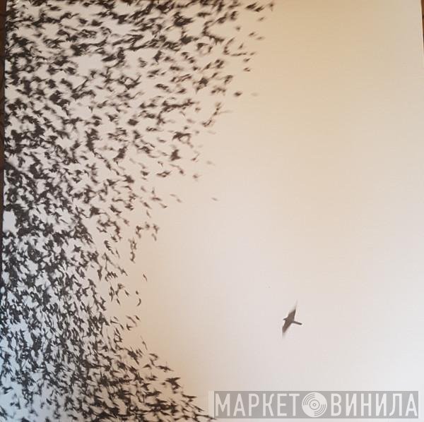 Wilco - Sky Blue Sky