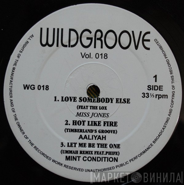  - Wildgroove Vol. 18