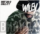 Wiley  - Wot Do U Call It?