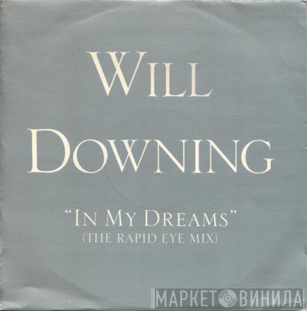 Will Downing - In My Dreams
