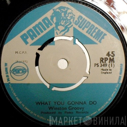 Winston Groovy - What You Gonna Do