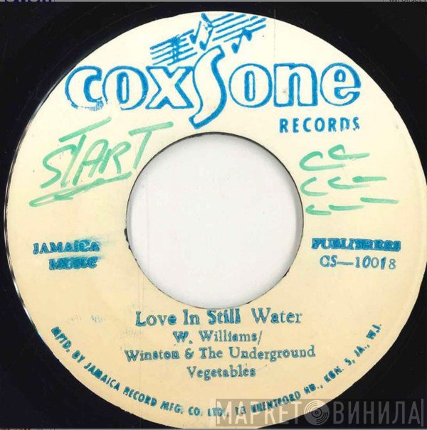 Winston Williams , Jeff Dixon  - Love In Still Water / Freedom Version