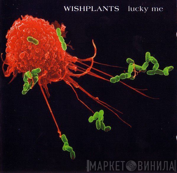 Wishplants - Lucky Me