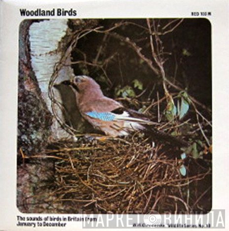  - Woodland Birds