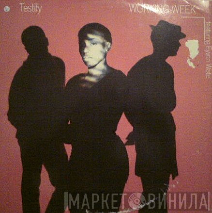 Working Week - Testify