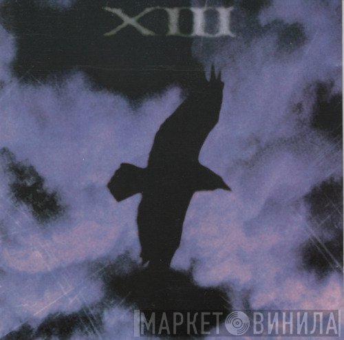XIII  - Salt