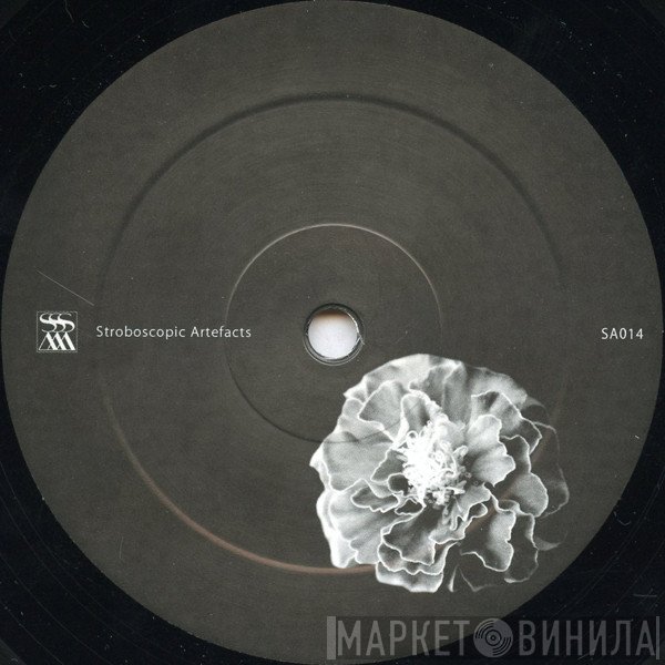 Xhin / Perc  - Untitled