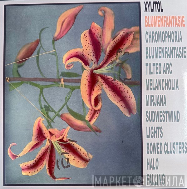 Xylitol - Blumenfantasie