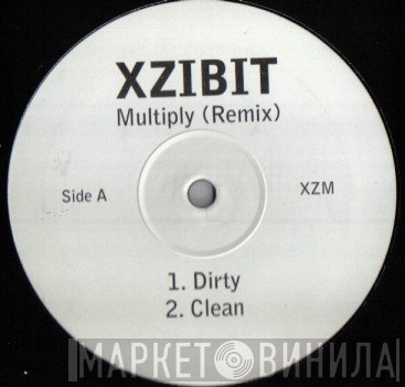 Xzibit - Multiply (Remix)