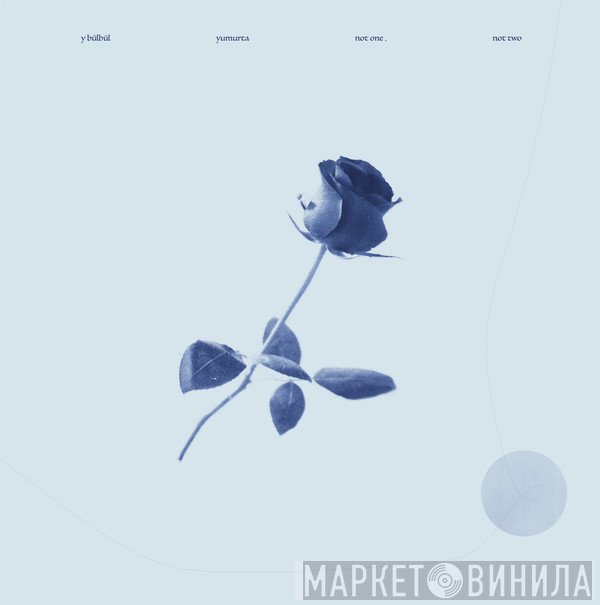 Y Bülbül, Yumurta - Not One, Not Two