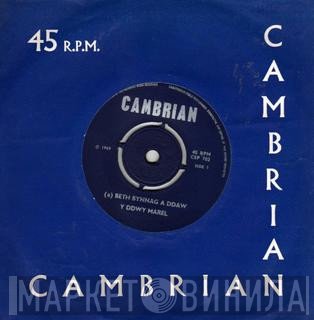 Y Ddwy Marel - Beth Bynnag A Ddaw / Mae'r Esgyd Fach Yn Gwasgu