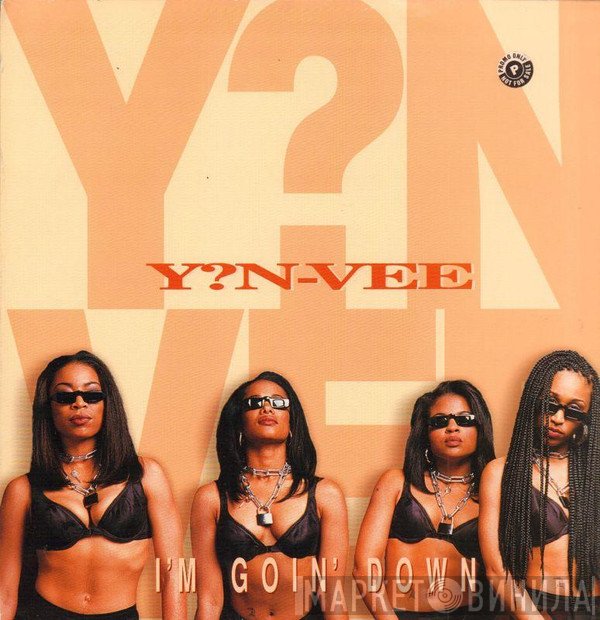 Y.N.V. - I'm Goin' Down