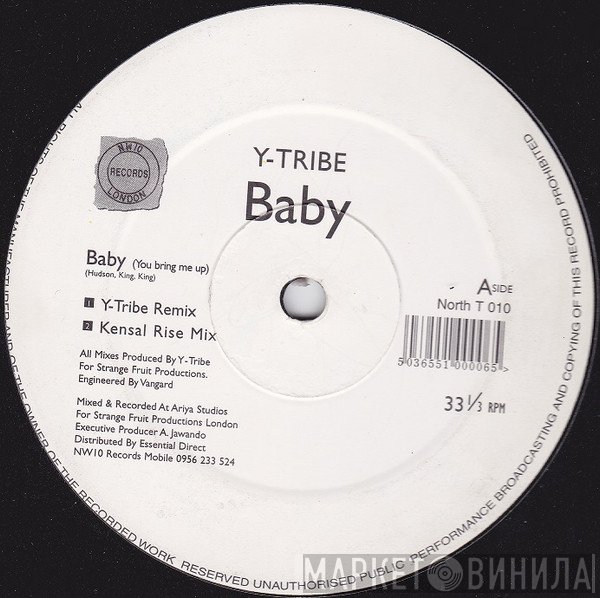 Y-Tribe  - Baby