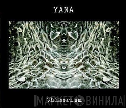 YANA  - Chimerism