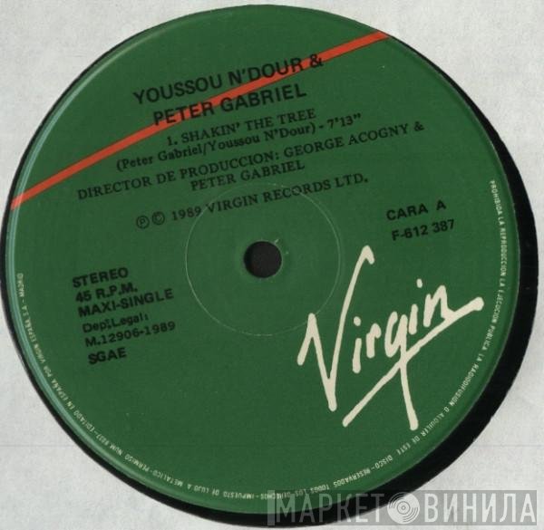 Youssou N'Dour & Peter Gabriel  - Shakin' The Tree