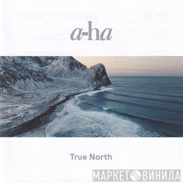 a-ha  - True North