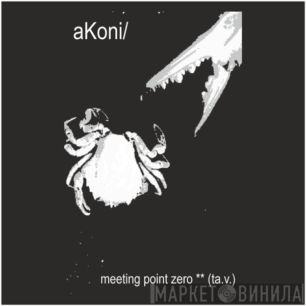 aKoni/ - meeting point zero ** (ta​.​v​.​)