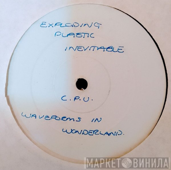 c.p.u - Waveforms In Wonderland