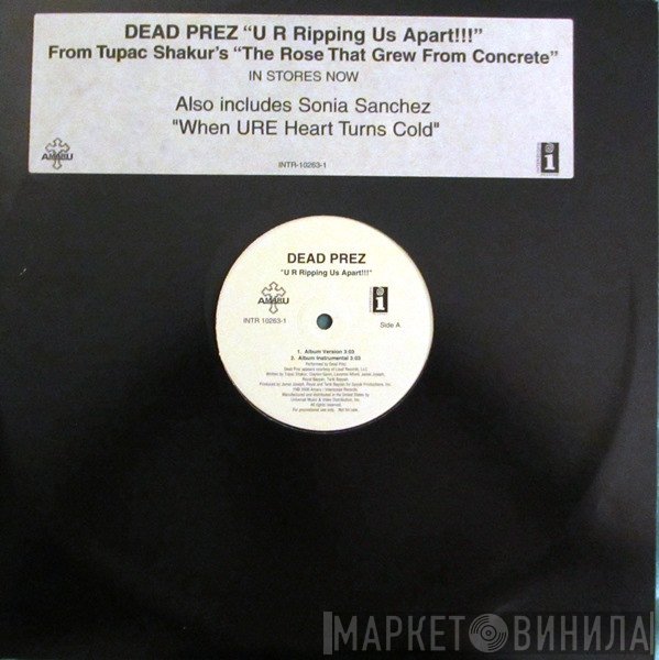 dead prez - U R Ripping Us Apart!!!