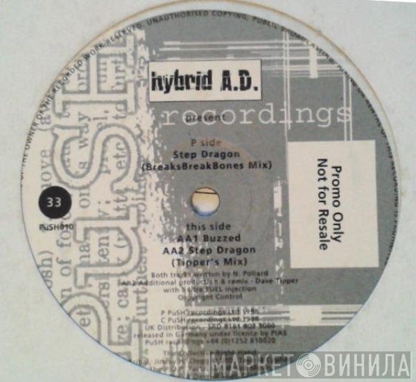 hybrid A.D. - Step Dragon / Buzzed