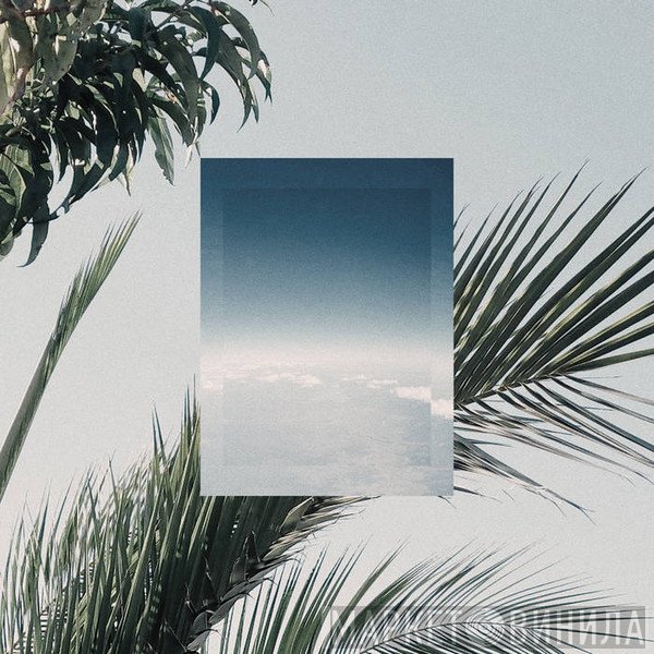 jinsang  - In Flight