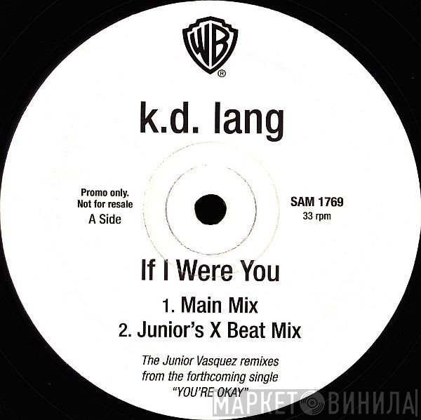 k.d. lang - If I Were You