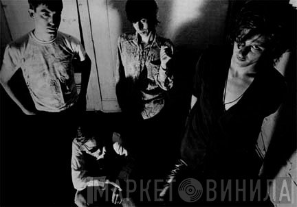 Black Snakes