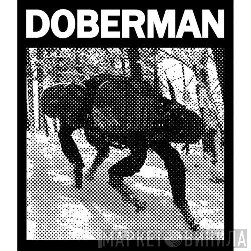 Doberman 