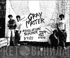 Gray Matter 