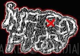 Infected Pussy