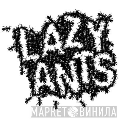 Lazy Ants