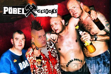 Pöbel Und Gesocks