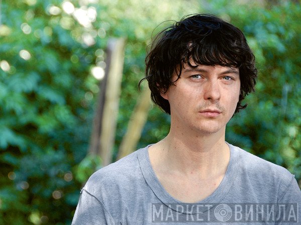 Panda Bear