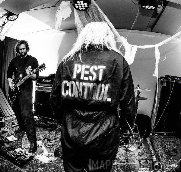 Pest Control 