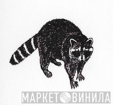 Raccoon 