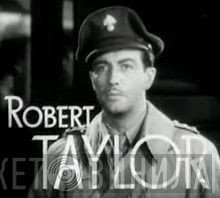 Robert Taylor 