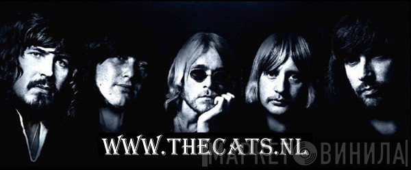 The Cats