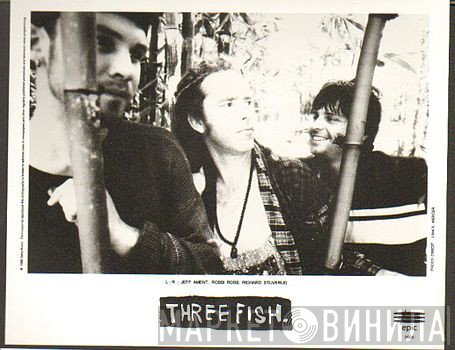 Three Fish