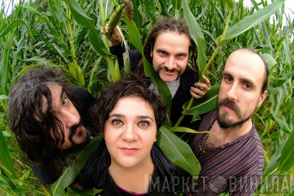 Zea Mays