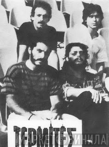 Τερμίτες