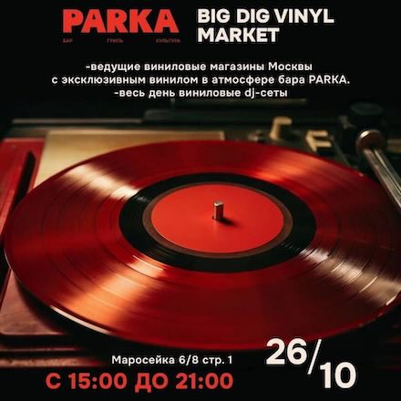 BIG DIG VINYL MARKET