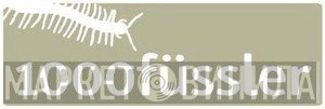 1000füssler - Винил CD и Кассеты лейбла 1000füssler на сайте МаркетВинила