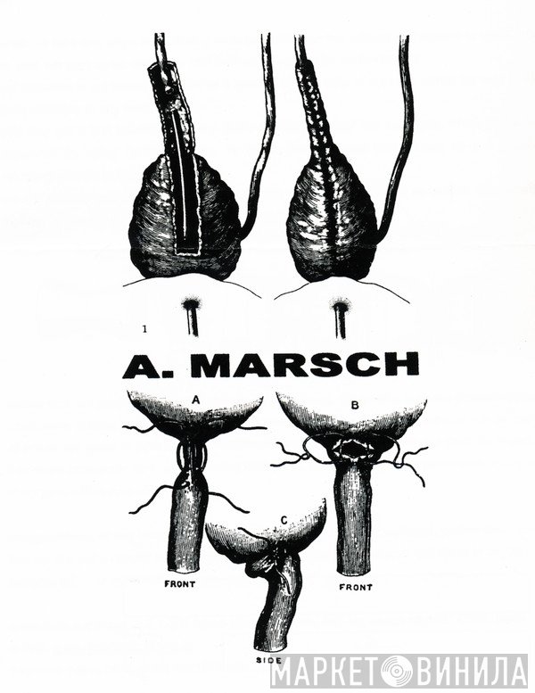 A.Marsch - Винил CD и Кассеты лейбла A.Marsch на сайте МаркетВинила